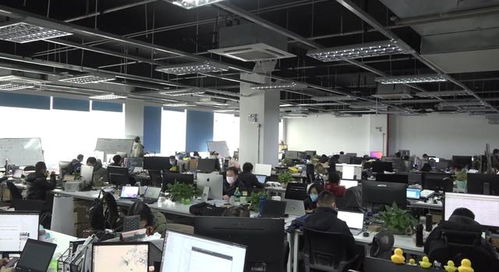 上海華獻軟件“刷臉啦”技術服務，以科技力量助力城市疫情防控